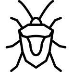 Carrapatos